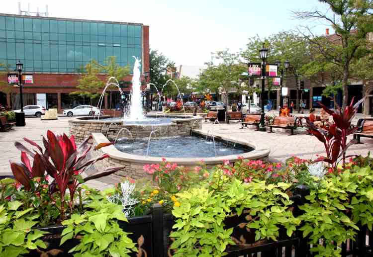 Elmhurst Moving Company